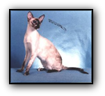GC Hobbikats Capella