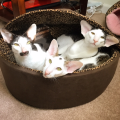 Family Shot